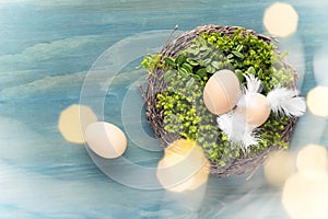 Easter eggs in the nest