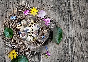 Easter eggs in a nest