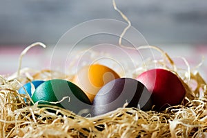 Easter eggs in nest