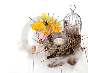 Easter eggs nest with birdcage and yellow Spring Crocus