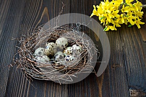 Easter eggs in the nest and blooming branches on rustic wooden background. Copy space