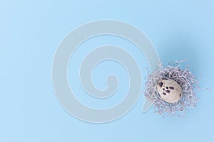 Easter eggs in nest on the blue background.Flat lay style.