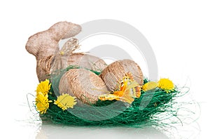 Easter eggs in nest entwined with twine and bunny isolated.