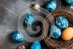 Easter eggs in nest painted by hand in blue color on dark background