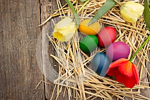 Easter eggs in nest on rustic wooden planks