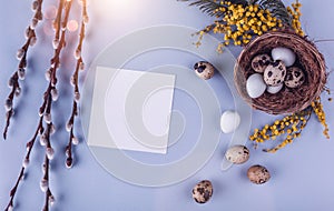 Easter eggs in nest and spring flowers on holiday background. Top view with copy space.