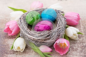 Easter eggs in the nest. Spring flowers tulips.