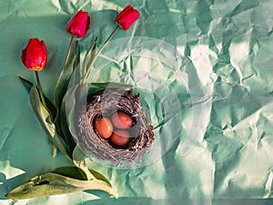 Easter eggs in a nest and three red tulips.