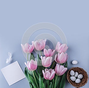 Easter eggs in nest and tulip flowers on spring background. Top view with copy space