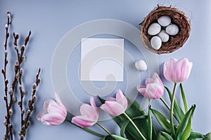 Easter eggs in nest and tulip flowers on spring background. Top view with copy space. Happy Easter card