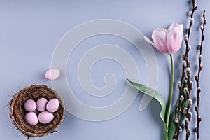 Easter eggs in nest and tulips flowers on spring background. Top view with copy space.