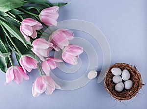 Easter eggs in nest and tulips flowers on spring background. Top view with copy space. Happy Easter card