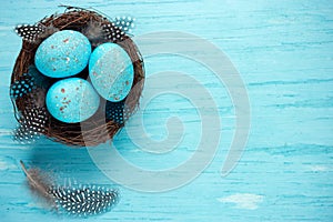 Easter eggs in nest