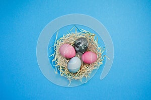 Easter eggs and nestle with eggs on blue background photo