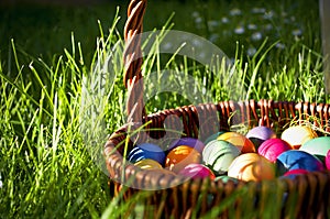 Easter eggs photo