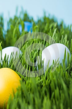 Easter eggs painted in different colors on grass