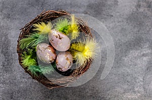 Easter eggs, painted and gold foiled, in a nest with green and yellow feathers. Traditional decoration, top view
