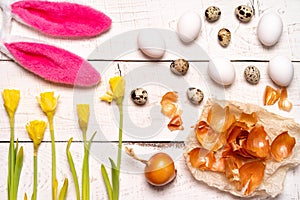 Easter eggs painted with natural dye, onion husk on a white wooden background and yellow spring flowers Narcis