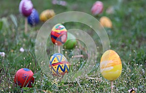 Easter eggs in the Grass