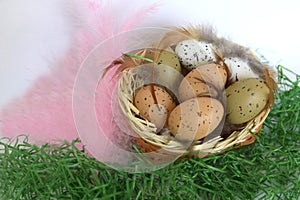 Easter eggs and pink feathers on the green grass