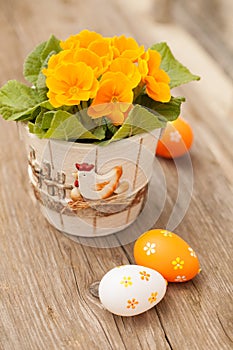 Easter eggs and primula flower