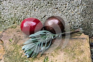 Easter eggs with rosemarry on stone
