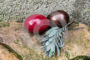 Easter eggs with rosemarry on stone