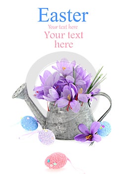 Easter eggs and saffron flowers