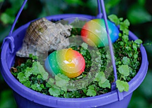 Easter eggs and shell in the violet flowerpot