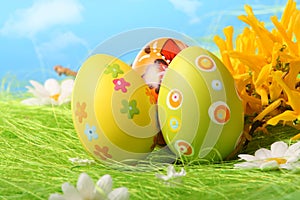 Easter Eggs sitting on grass field with blue sky