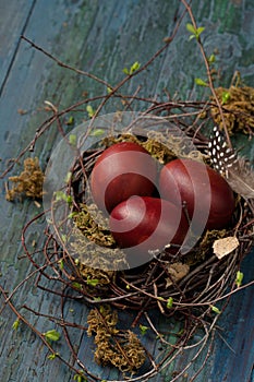 Easter eggs in a small nest made of branches and moss on a wooden background