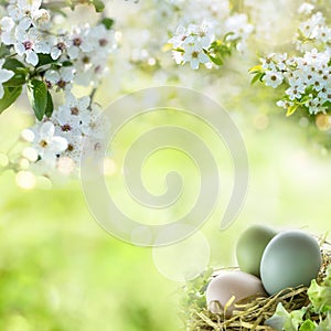 Easter eggs with spring blossoms