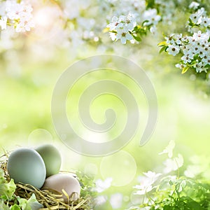 Easter eggs with spring blossoms