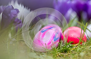 Easter eggs and spring flowers background