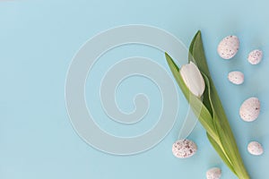 Easter eggs and spring flowers on the blue table background.Flat lay style.