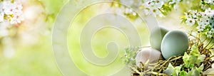 Easter eggs with sunny spring background