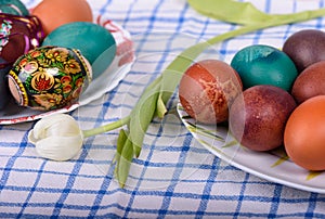 Easter eggs and tulip