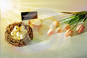 Easter eggs and tulips on wooden planks