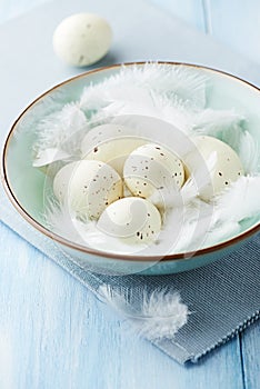 Easter eggs with white feathers