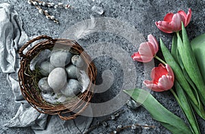 Easter eggs in wicker basket with feathers and red tulips flowers on blue background. Happy Easter holiday, top view, flat lay