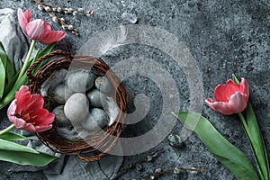 Easter eggs in wicker basket with feathers and red tulips flowers on blue background. Happy Easter holiday, top view, flat lay