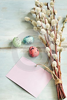 Easter eggs, willow twigs and blank paper card background