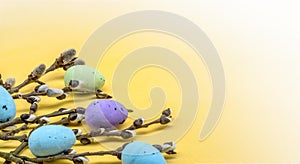 Easter eggs. Willow twigs. Yellow background