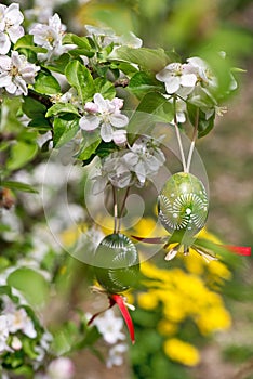 Easter egss hanging on the twig