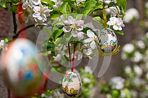 Easter egss hanging on the twig of apple tree