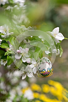 Easter egss hanging on the twig of apple tree