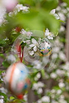 Easter egss hanging on the twig of apple tree