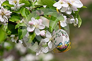 Easter egss hanging on the twig