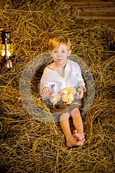 Easter fairy tale, a boy with chickens playing in a barn.