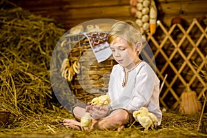 Easter fairy tale, a boy with chickens playing in a barn.